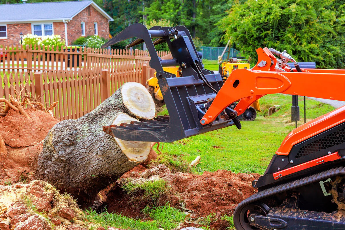 Skid steer machinery removing a large tree stump from a grassy residential yard