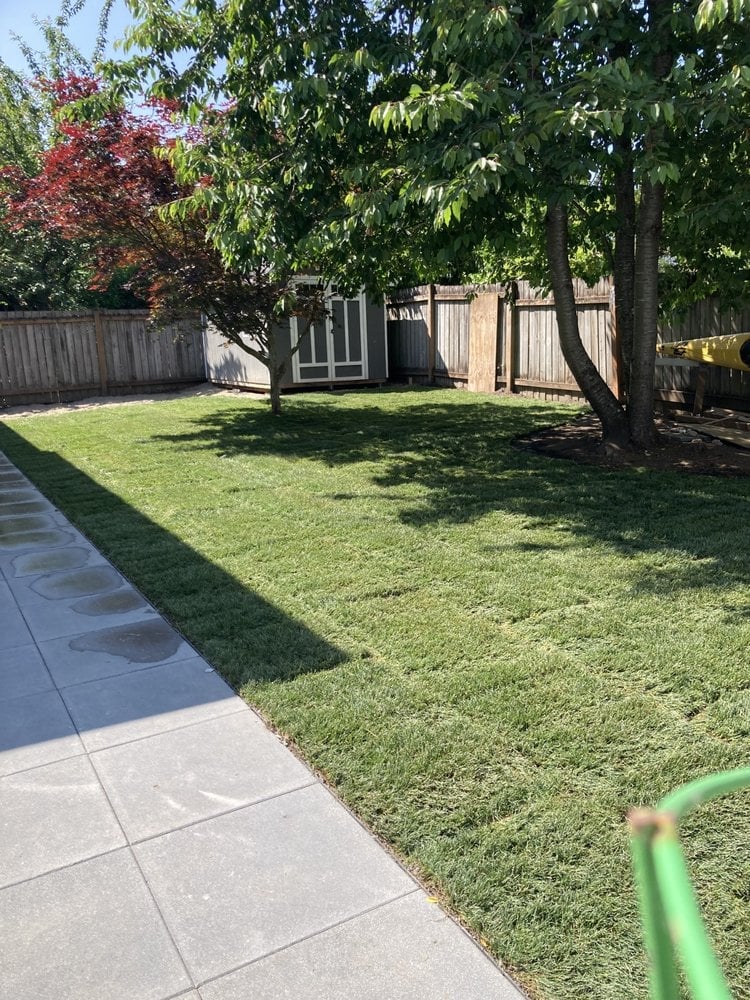 Sunny backyard with manicured green lawn, concrete patio, wooden fence, and a shed in the background