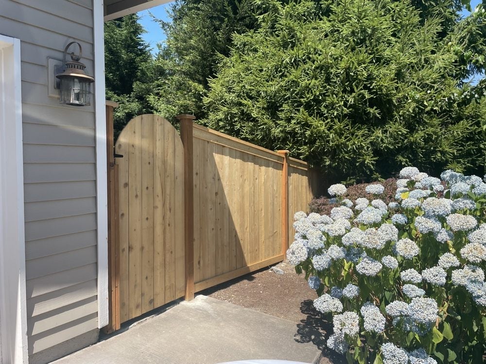 Wooden gate beside a house with white flowering hydrangeas and green foliage in the background